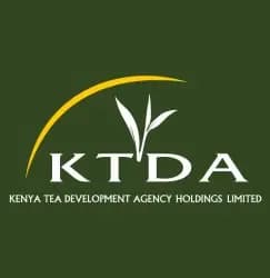 hamo associates accounting firm Kisii Kenya